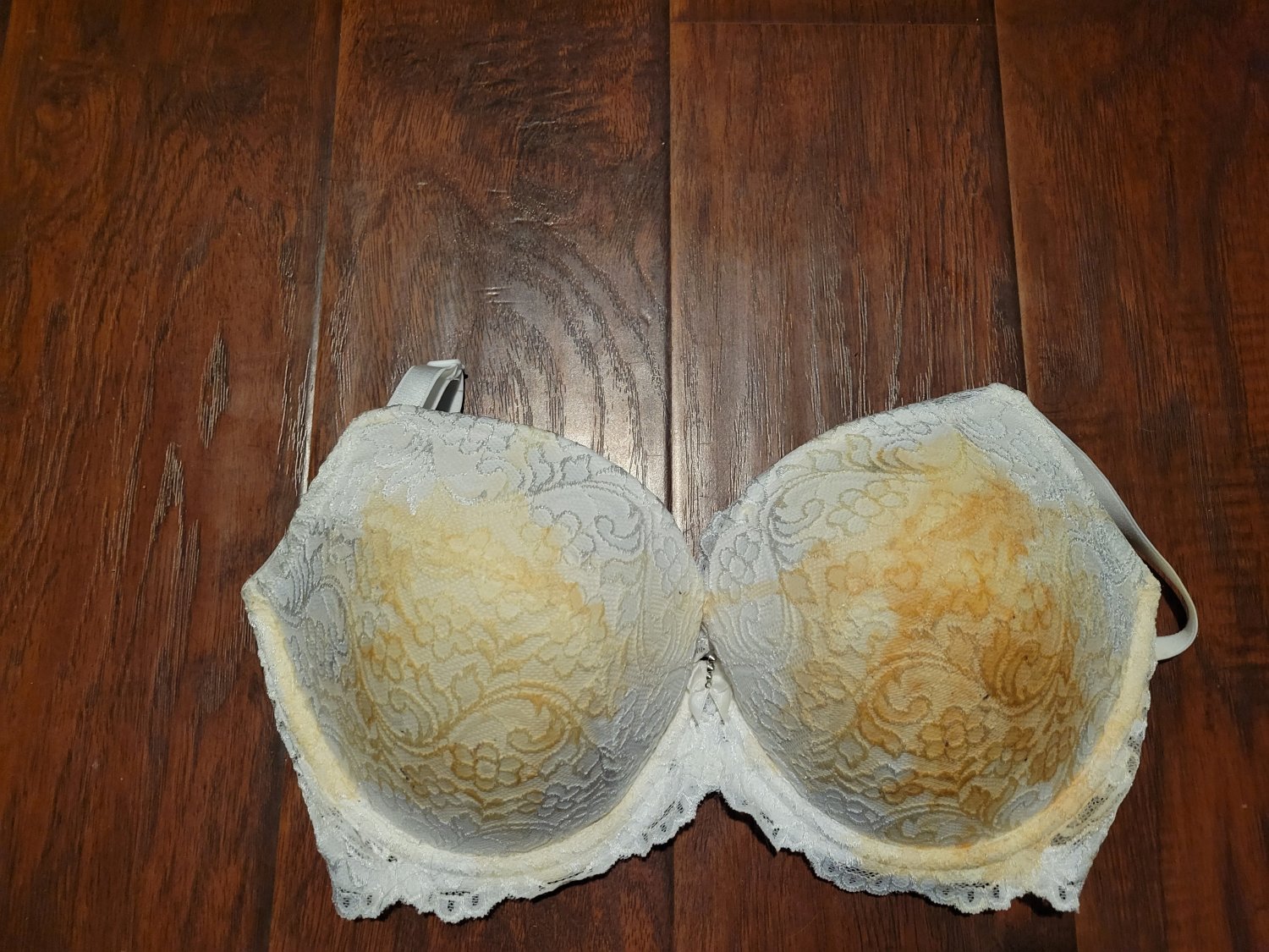 1500px x 1125px - Bra I bought specifically to be a cum rag - Porn - EroMe