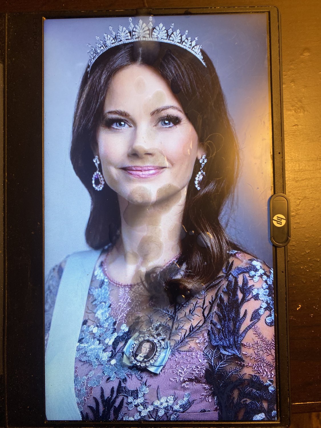 Princess Sofia of Sweden Cumtribute - Porn - EroMe